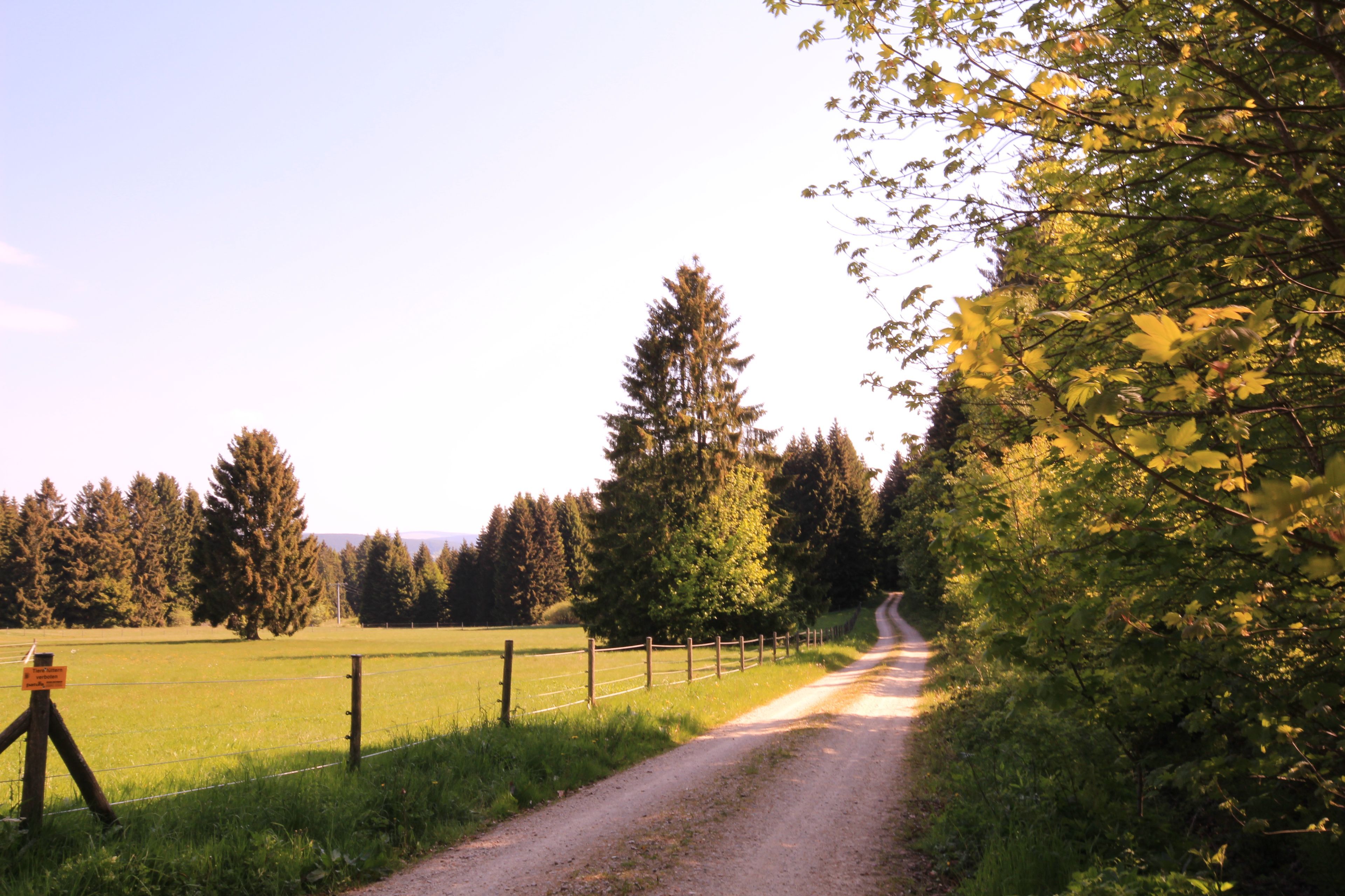 Omgeving