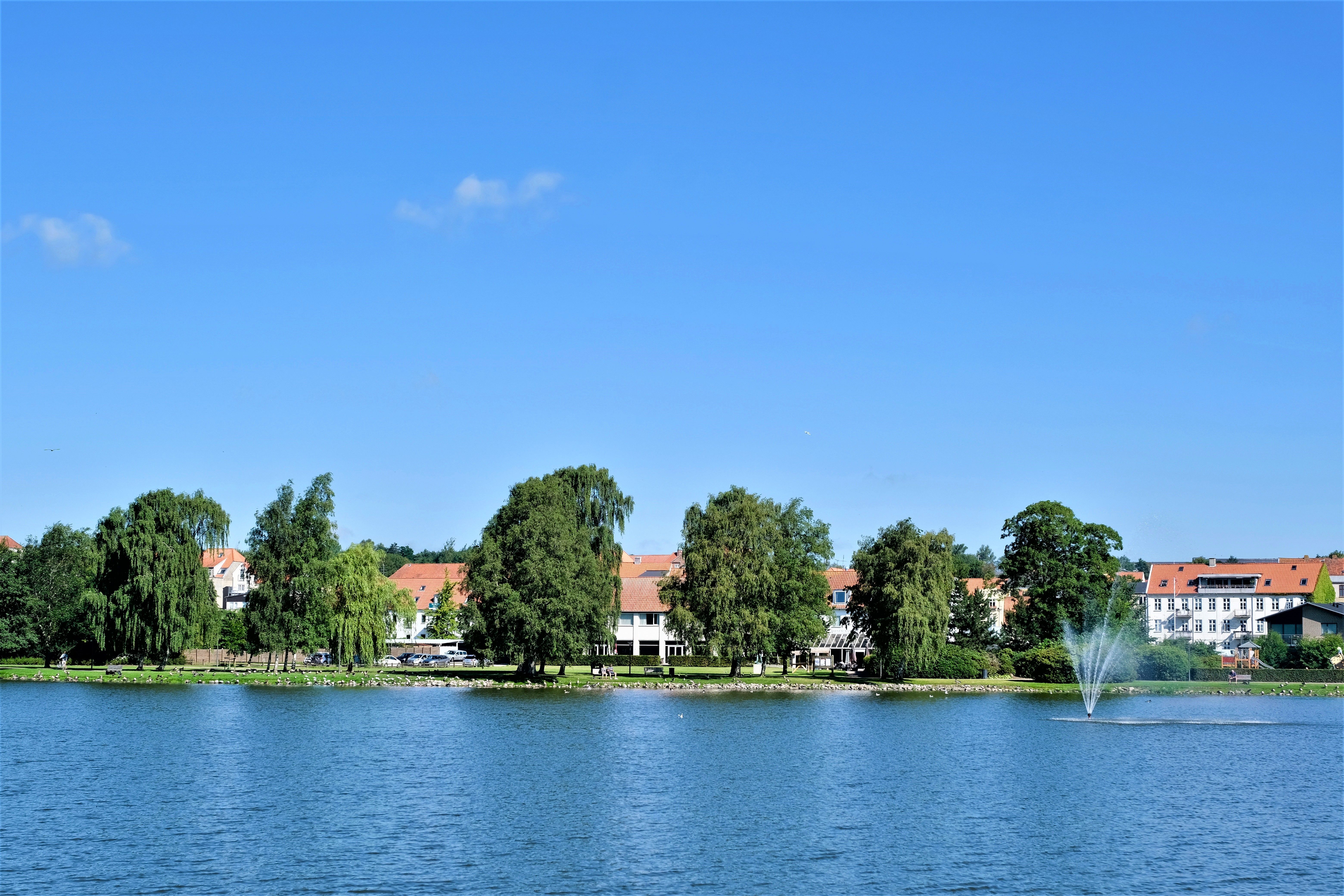 Omgeving
