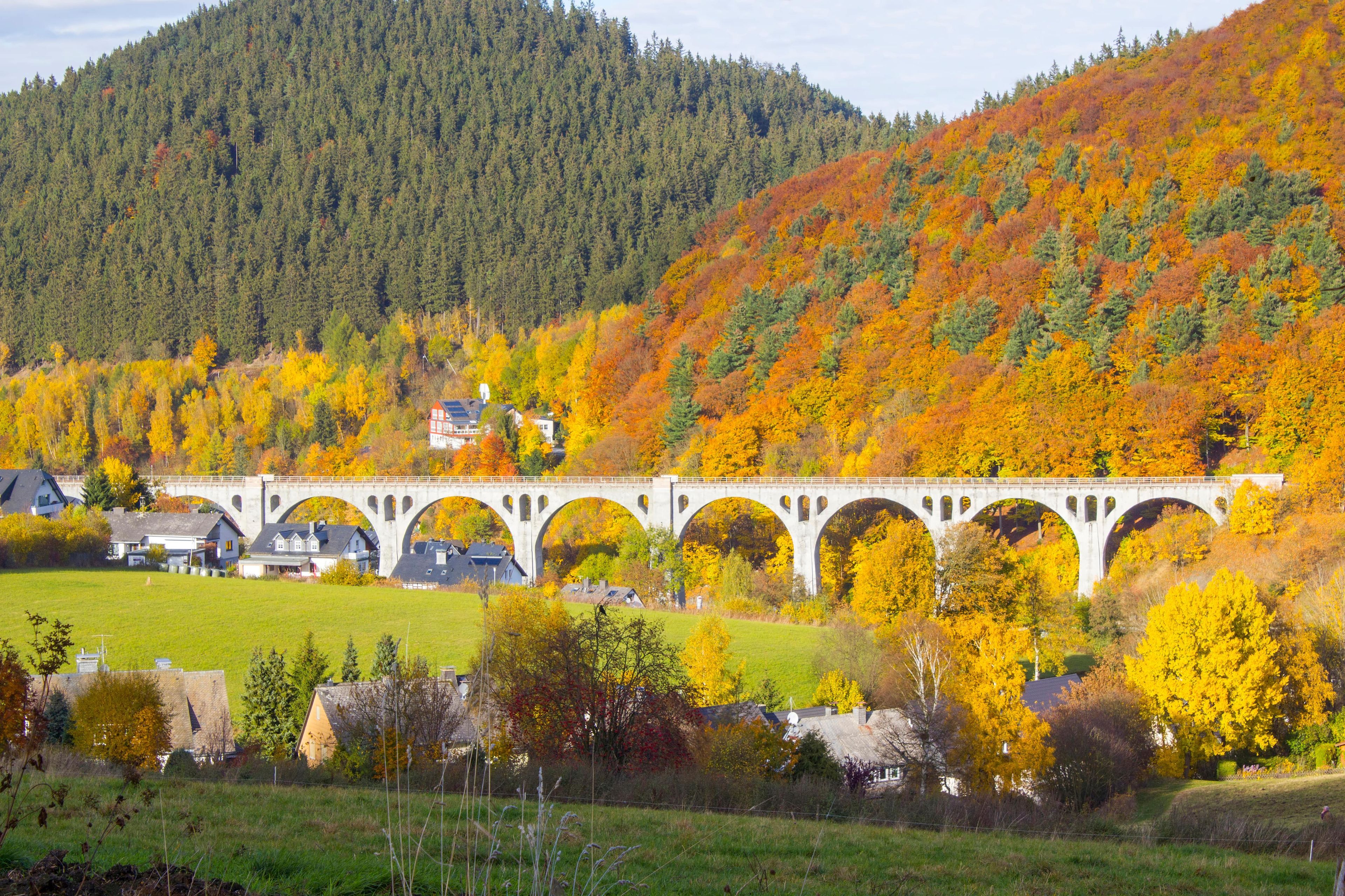 Omgeving