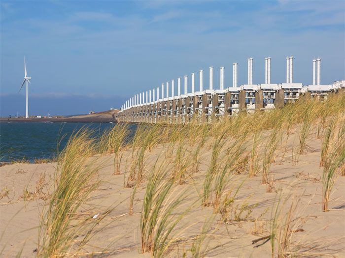 Omgeving