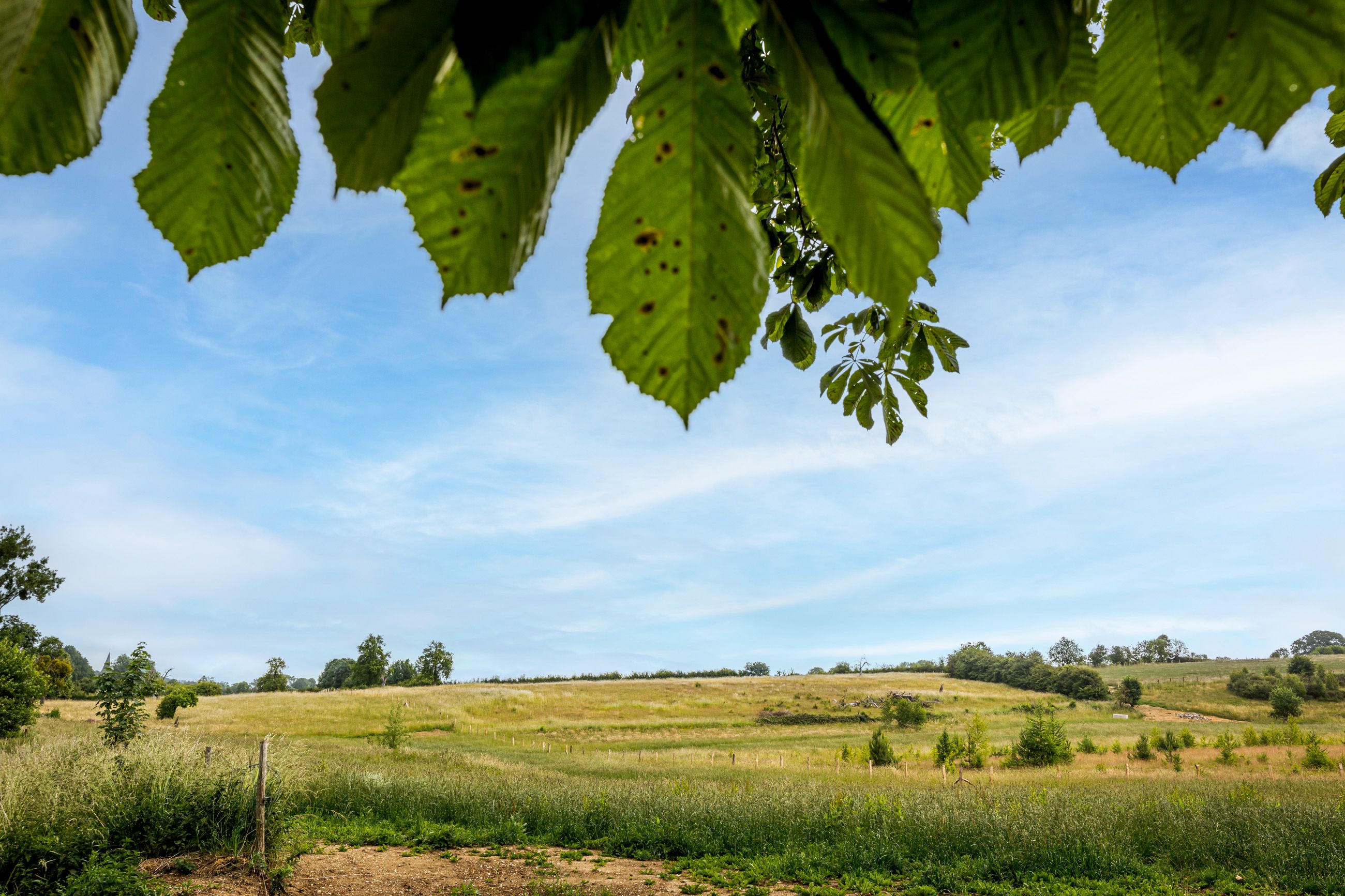 Omgeving