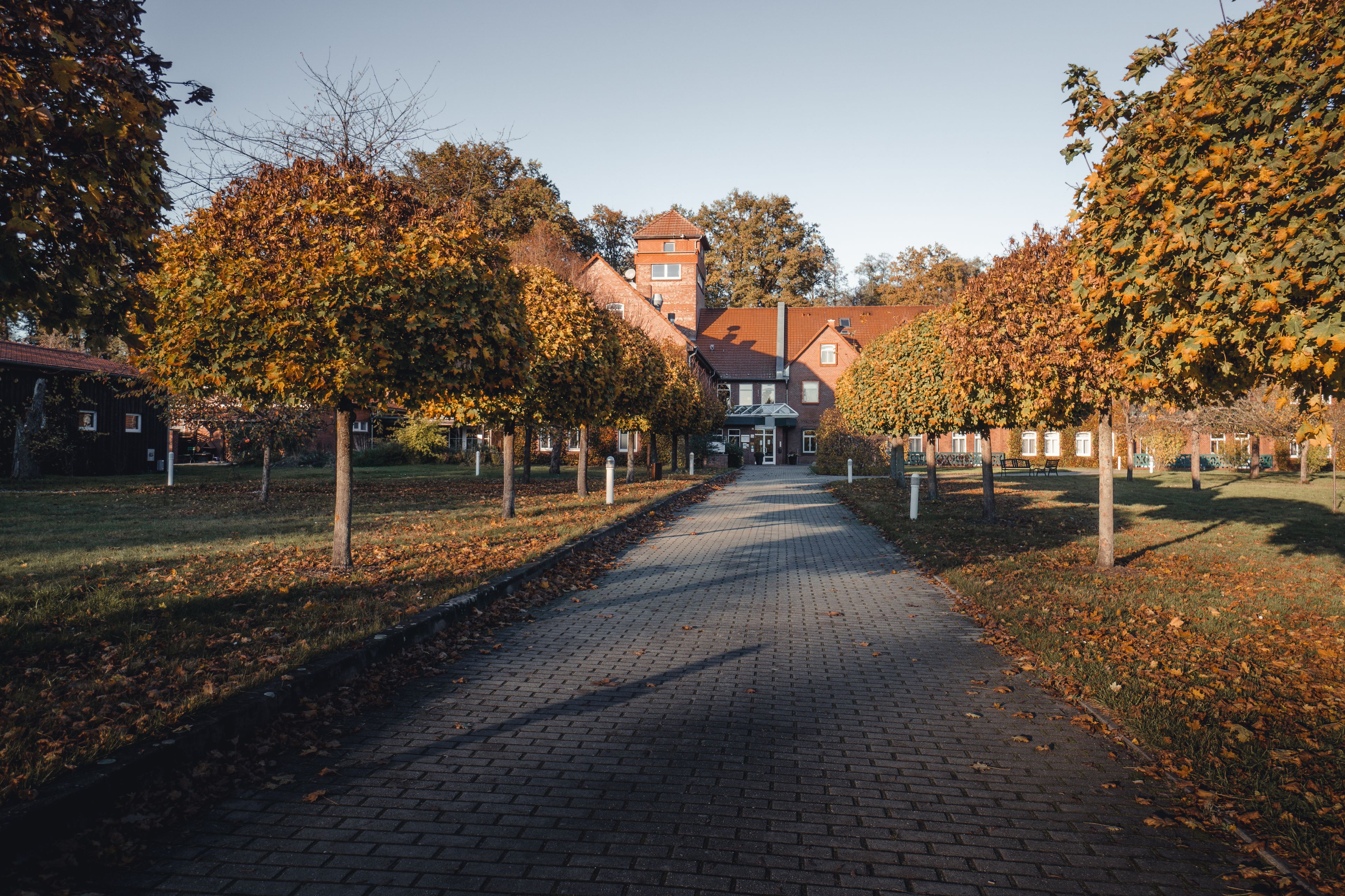 Omgeving