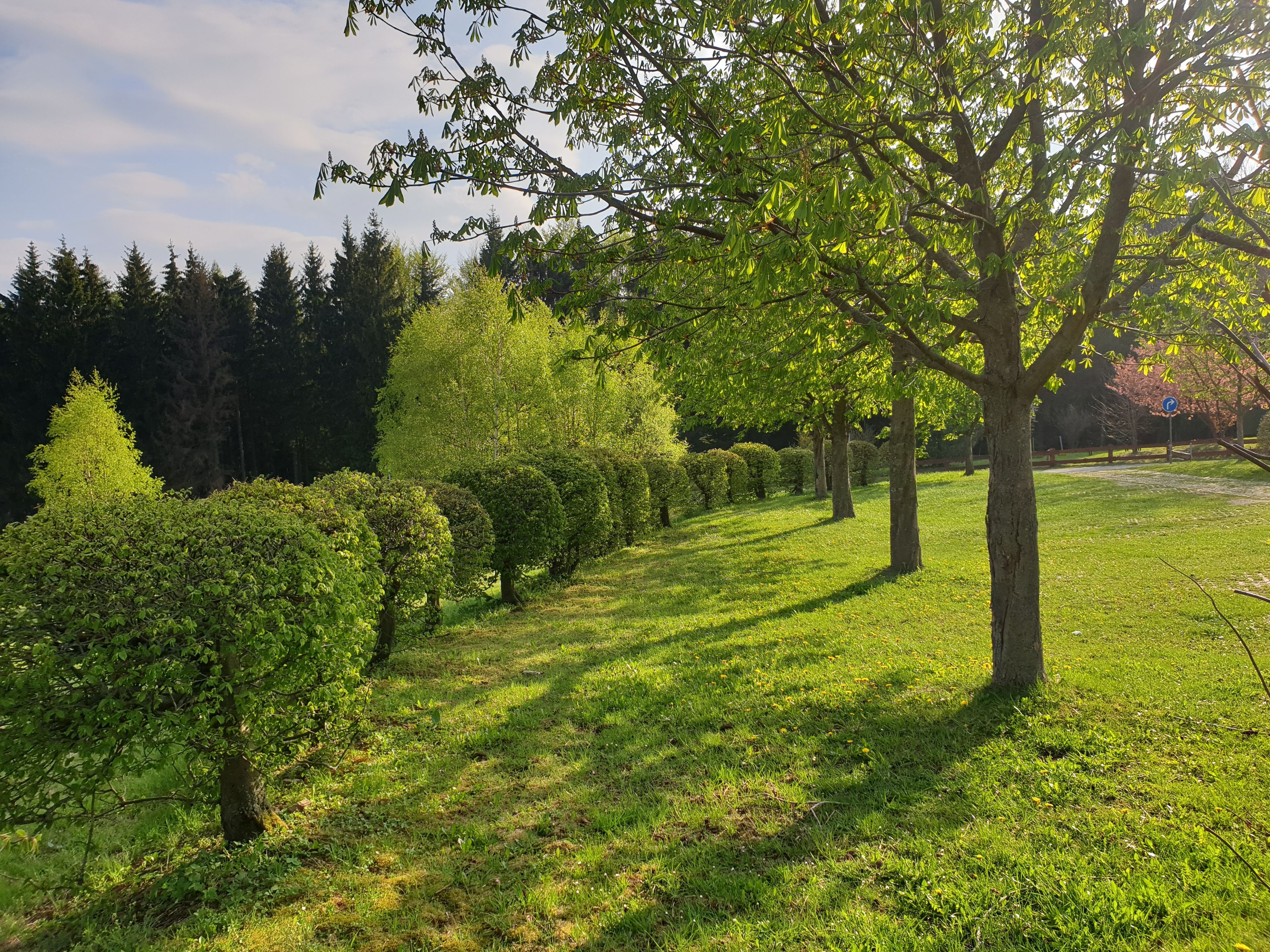 Omgeving
