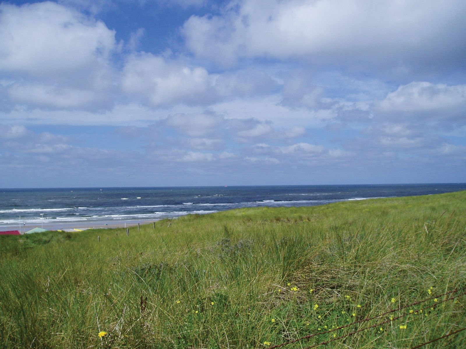 Omgeving