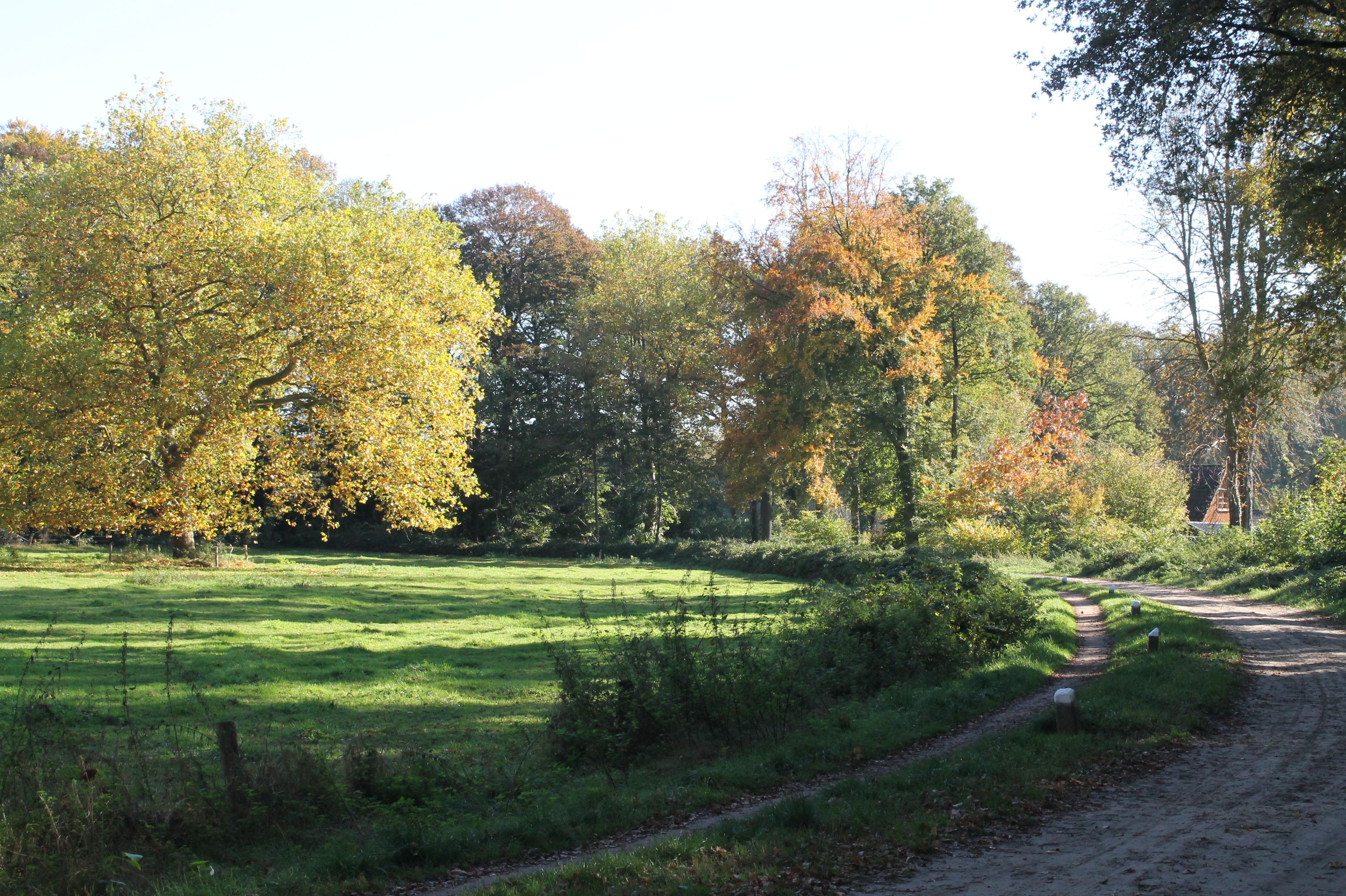 Omgeving