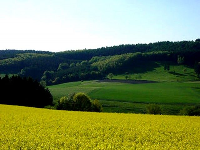 Omgeving