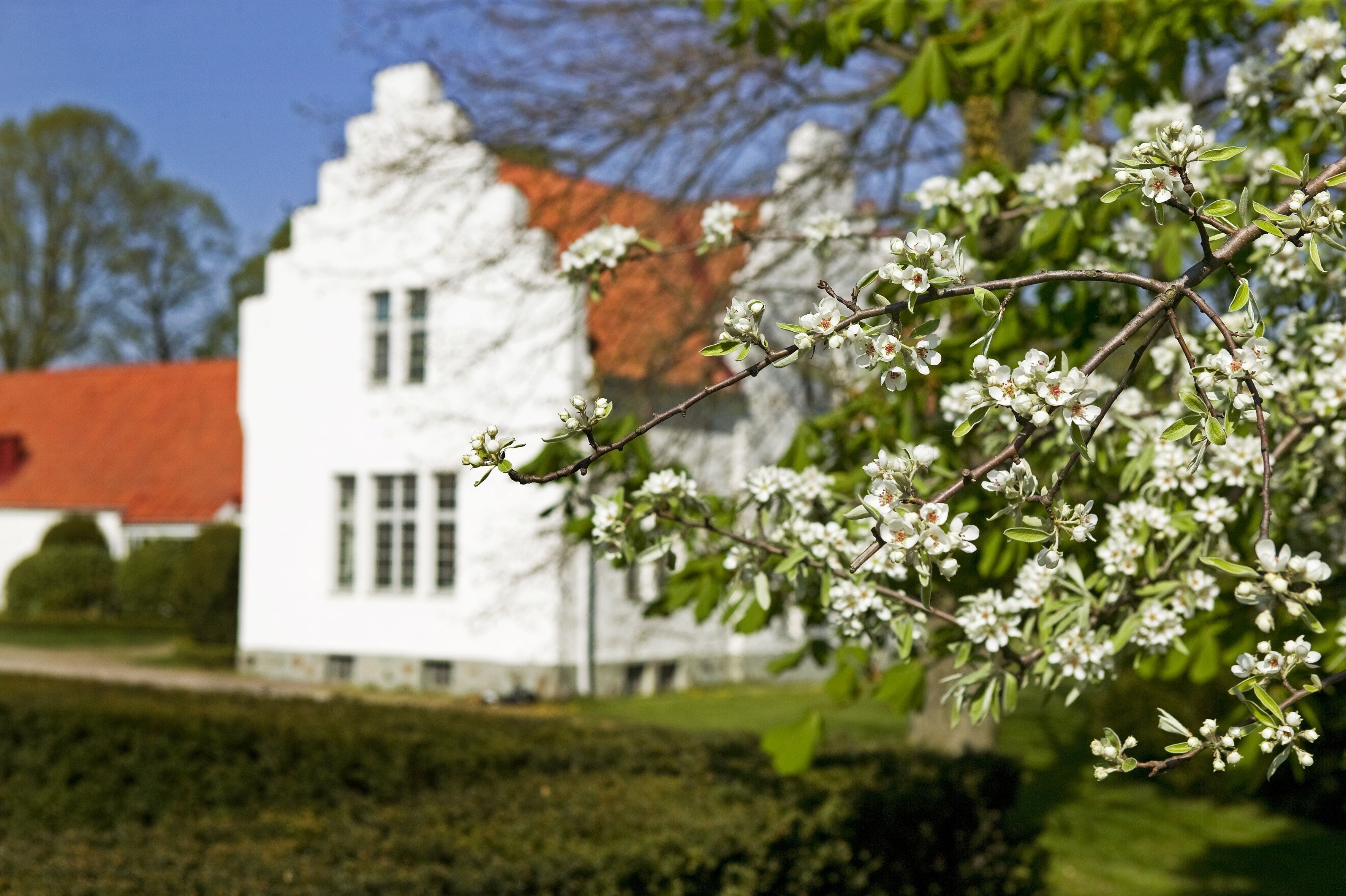 Omgeving