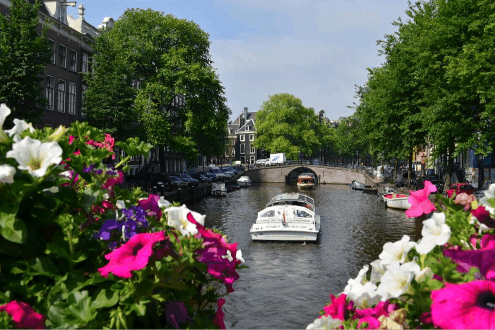 Omgeving