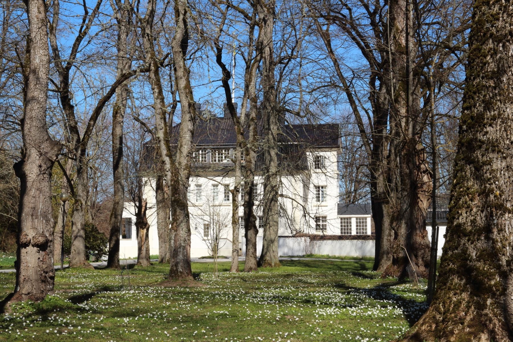 Omgeving