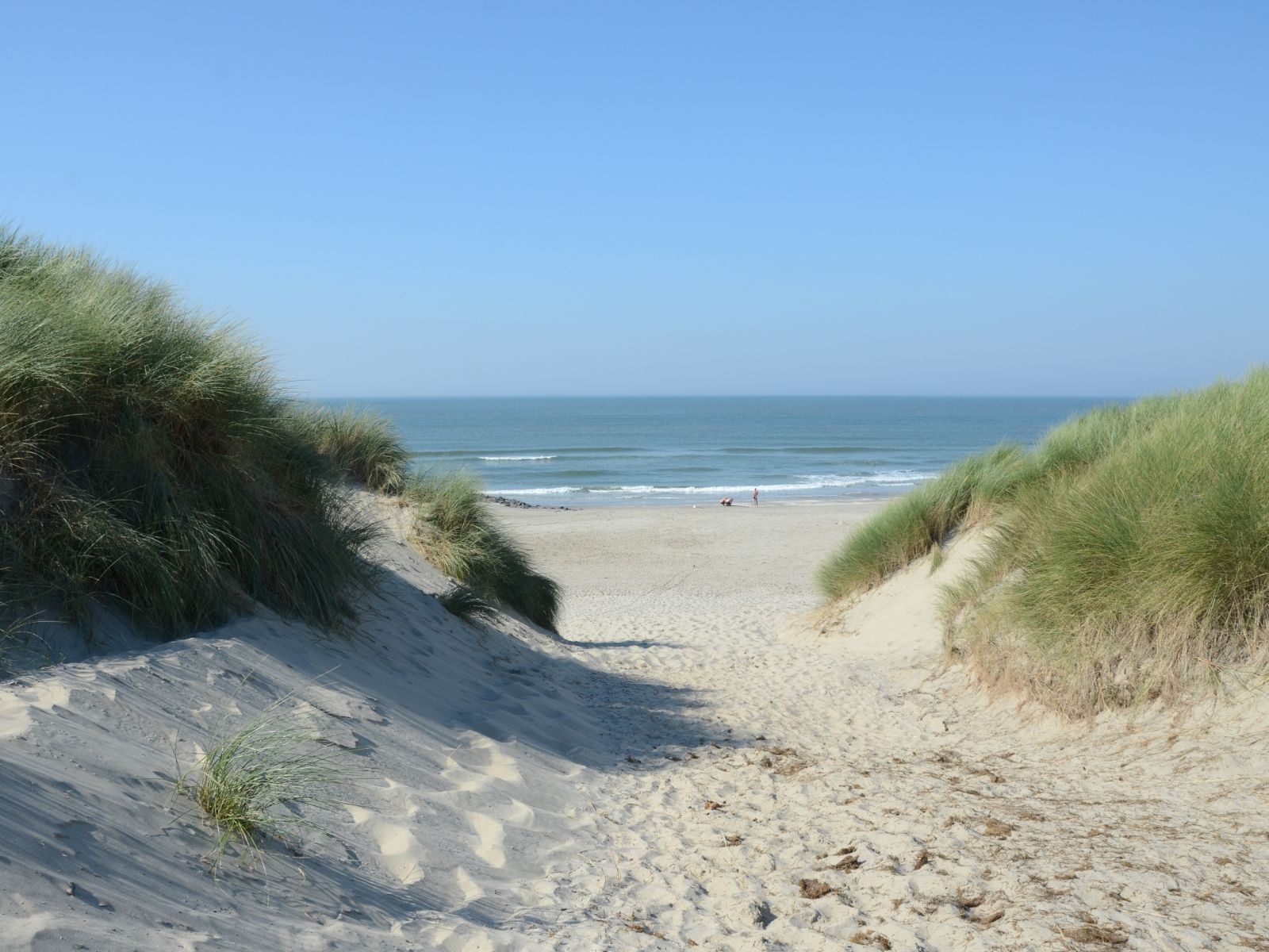 Omgeving