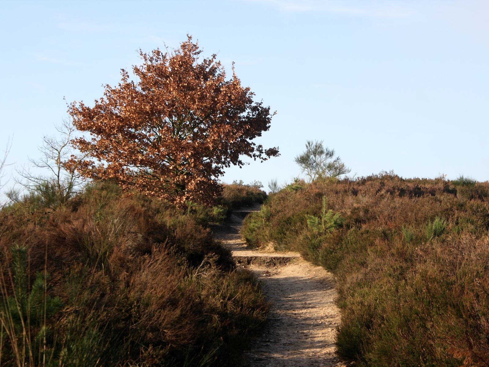 Omgeving