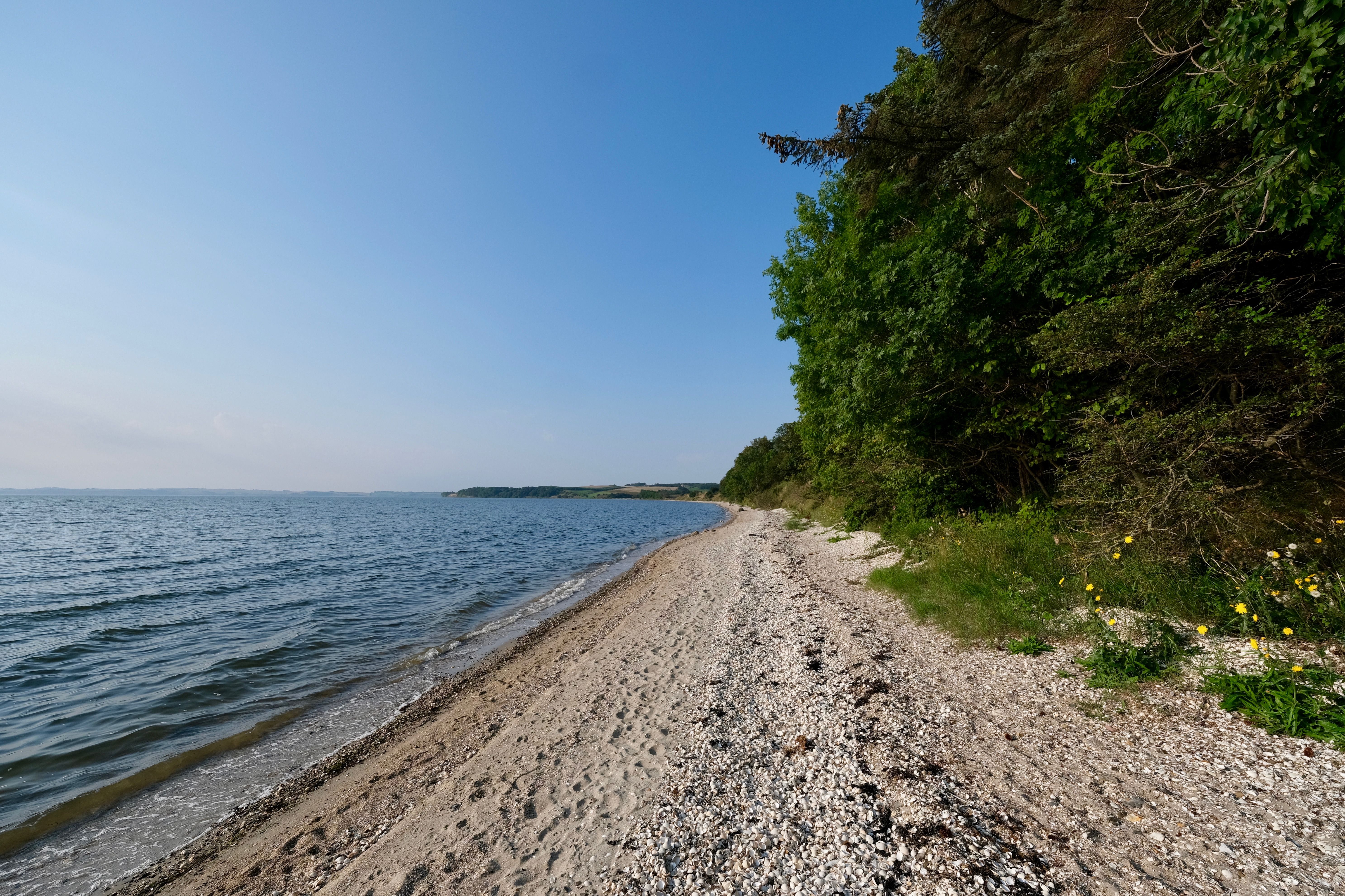 Omgeving