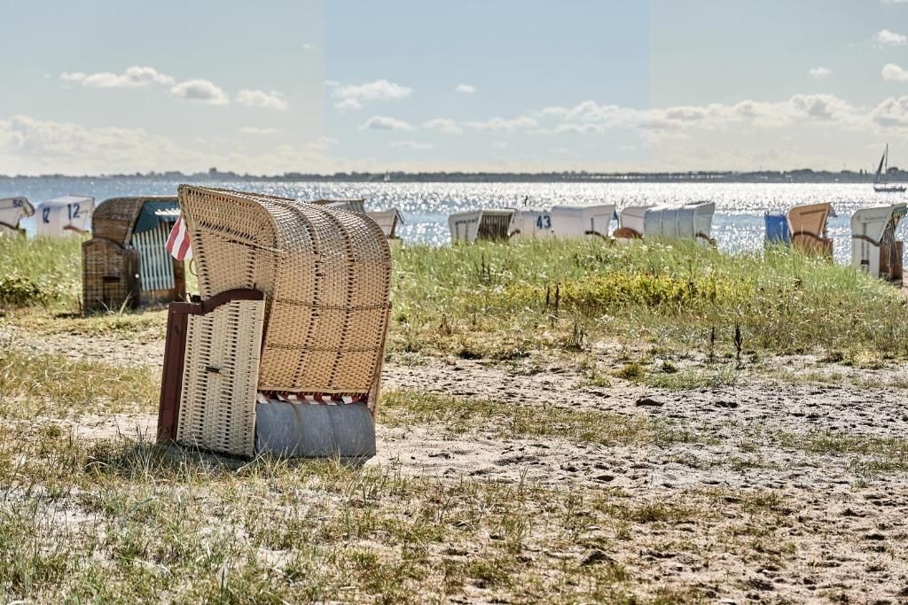 Omgeving