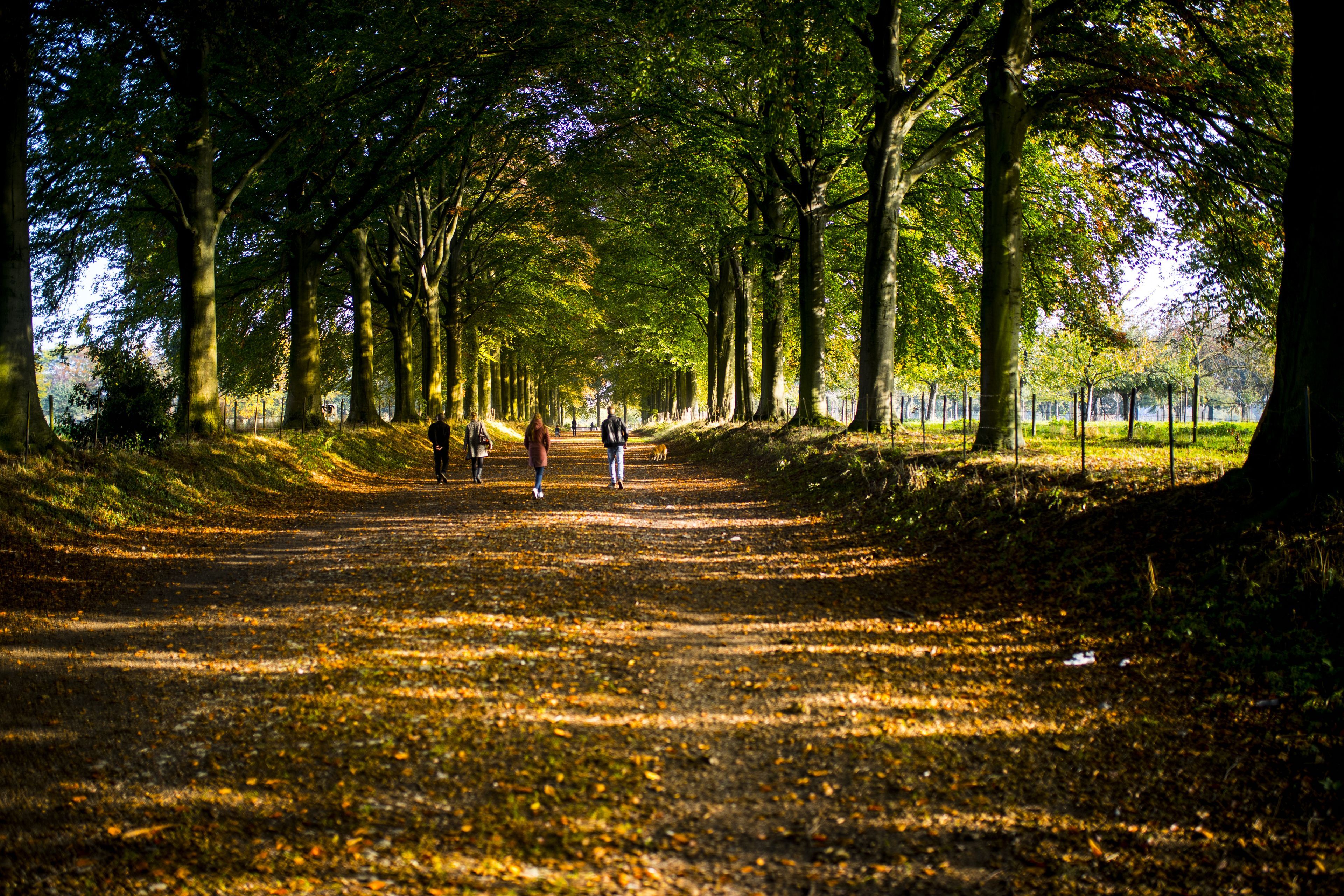 Omgeving