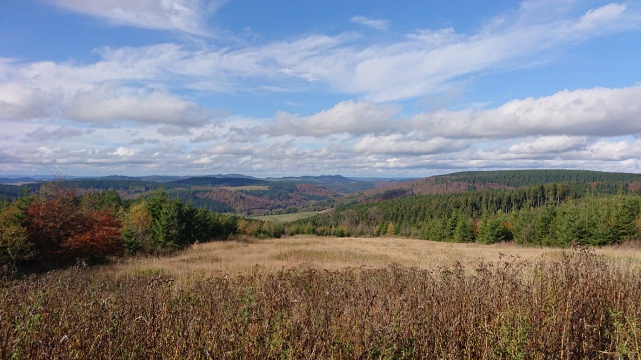 Omgeving