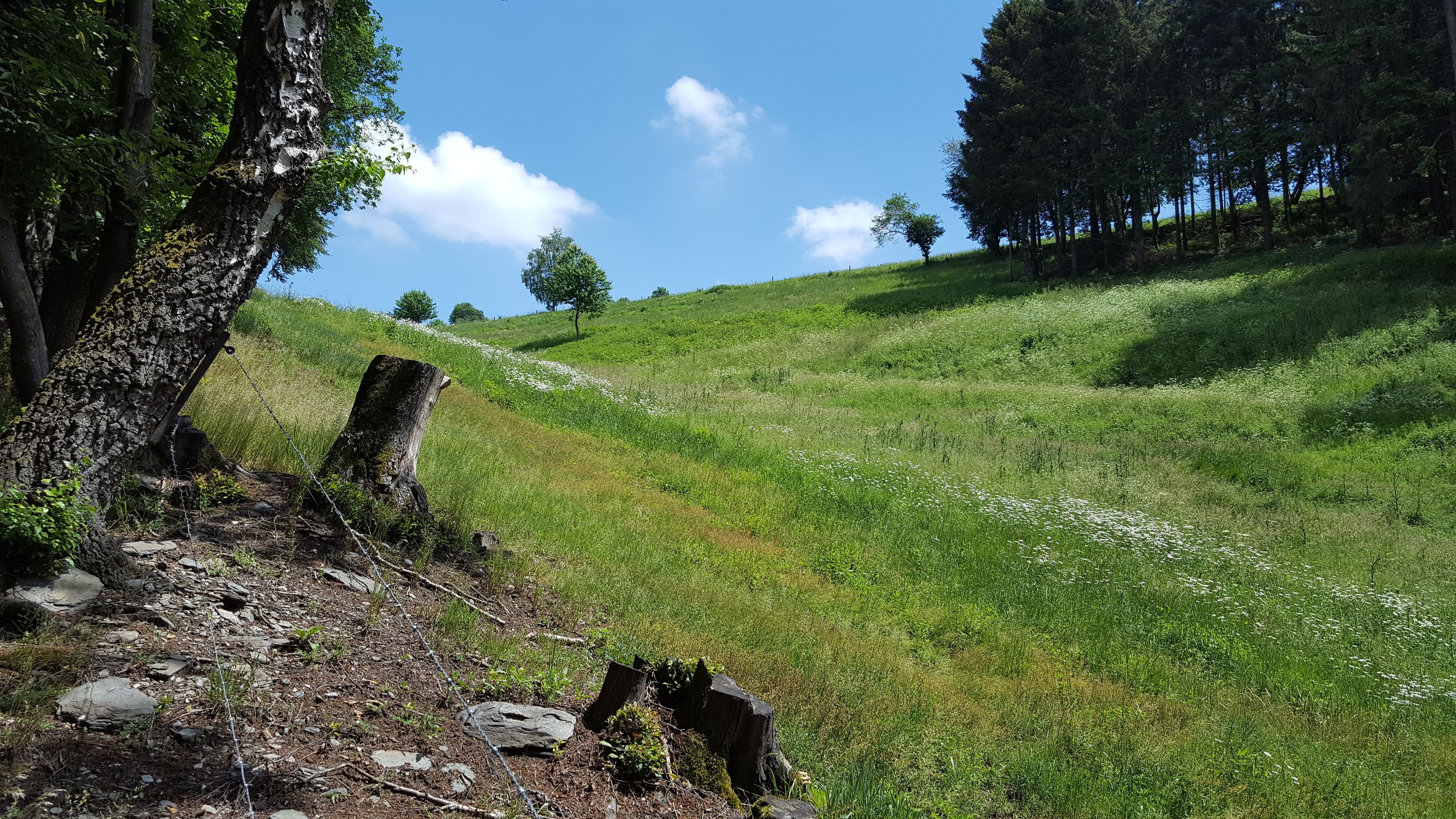 Omgeving