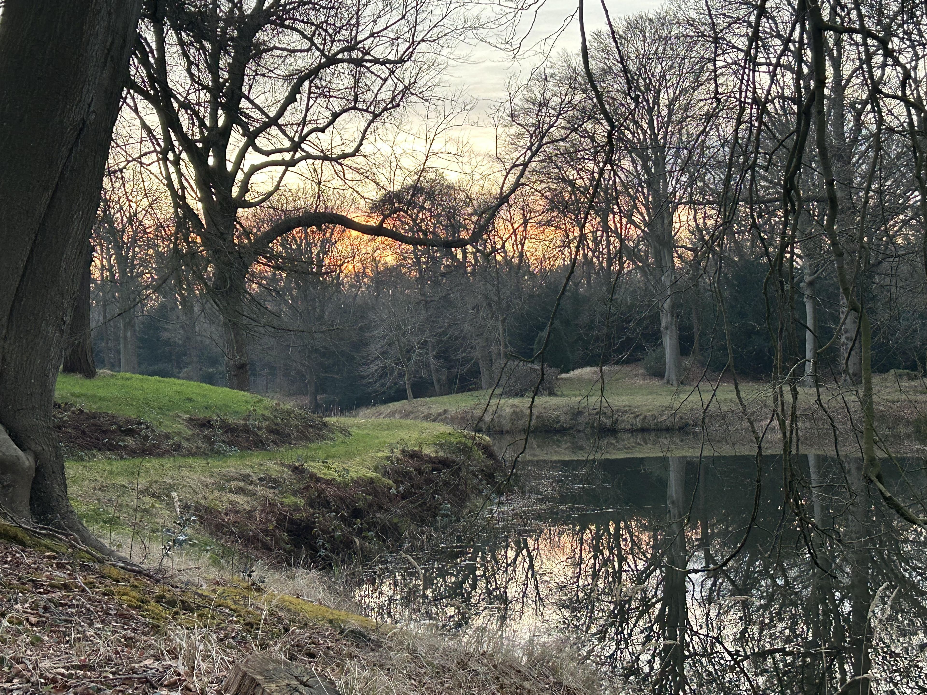 Omgeving