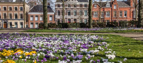 Hotels bij het Stadspark in Groningen