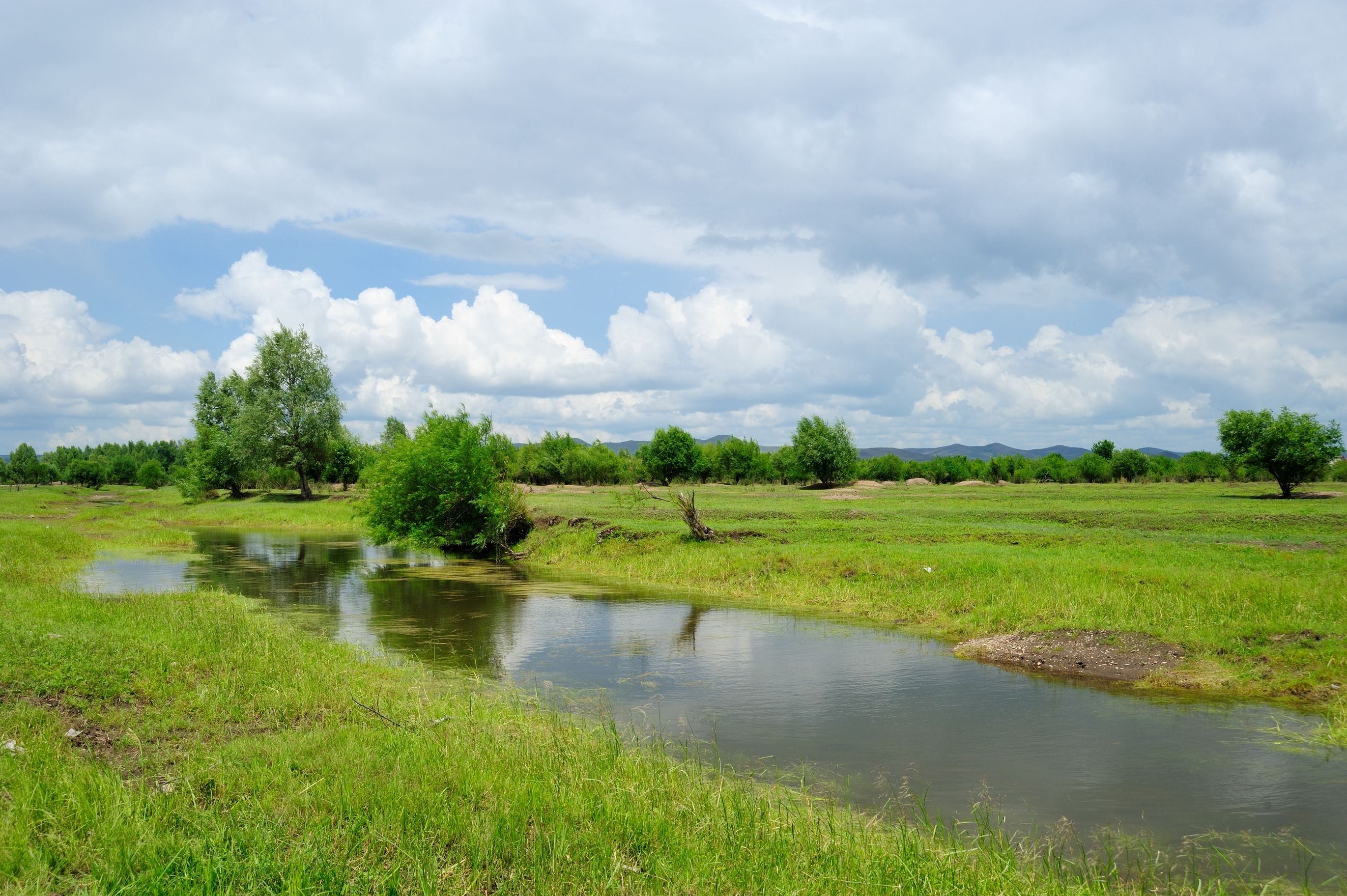 Omgeving