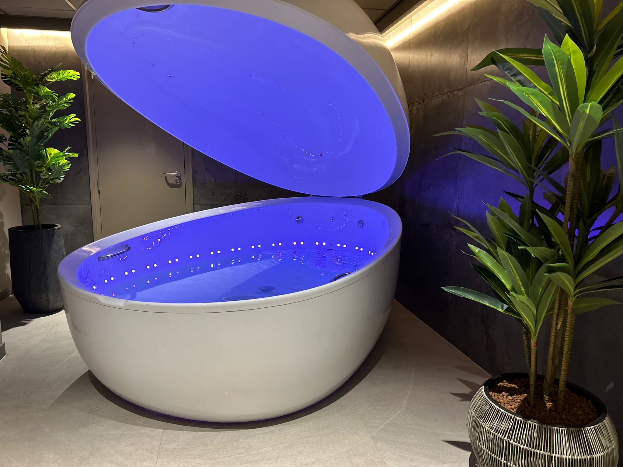 Wellness