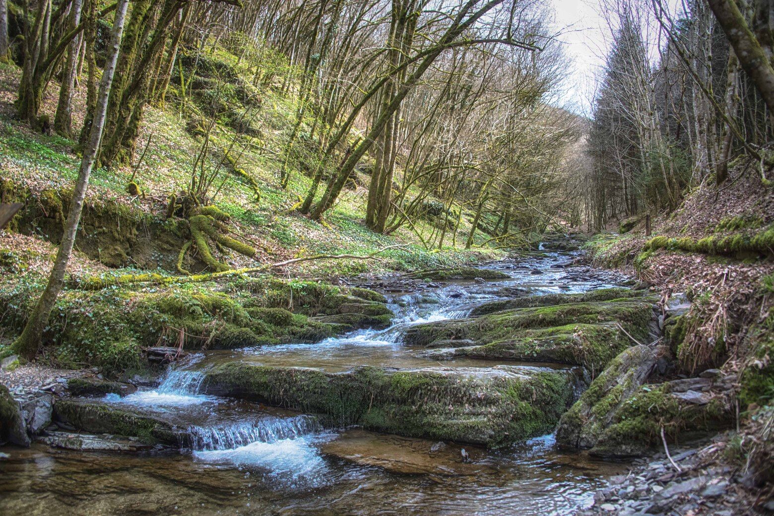 Omgeving
