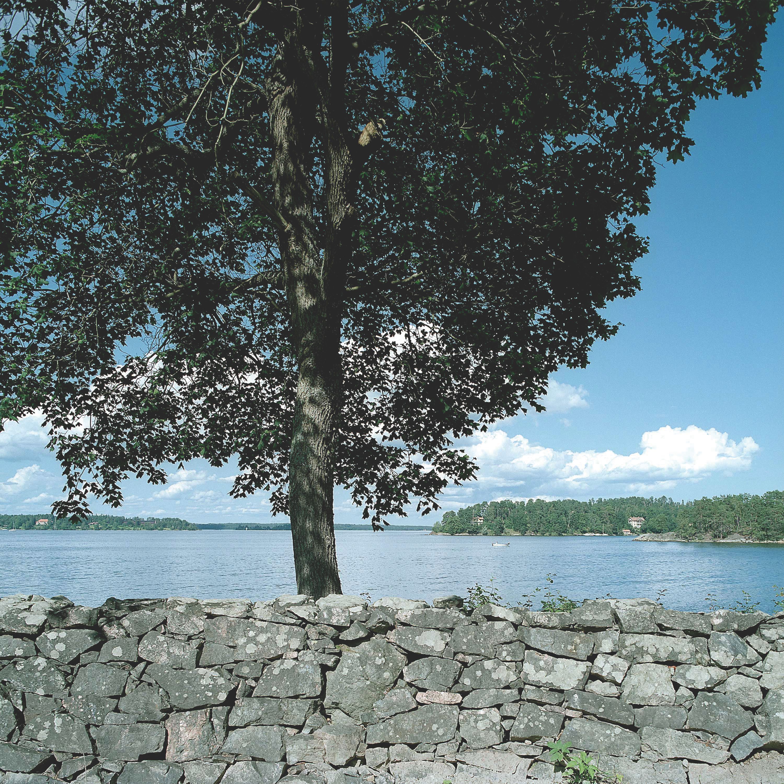 Omgeving
