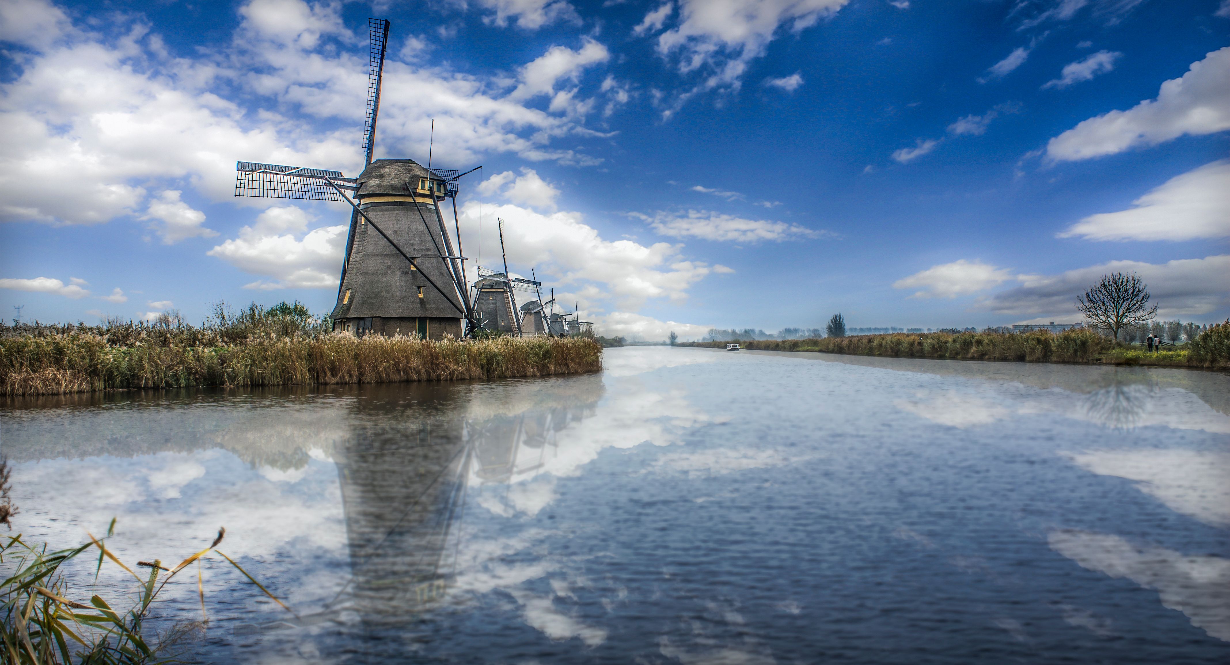 Omgeving