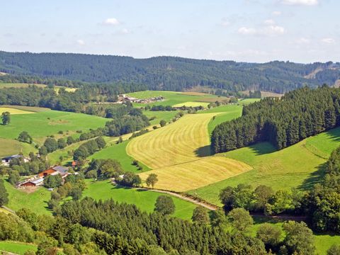 Omgeving