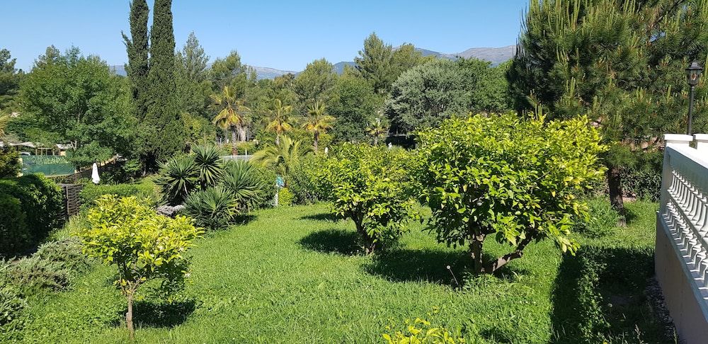 Algemeen