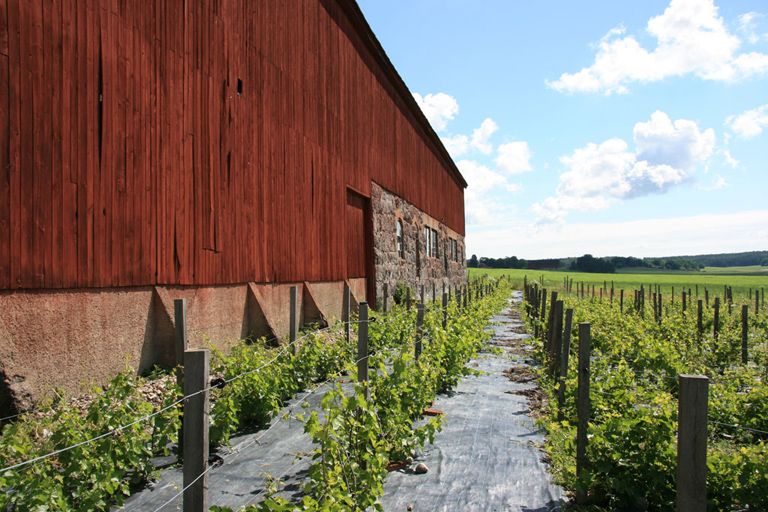 Omgeving