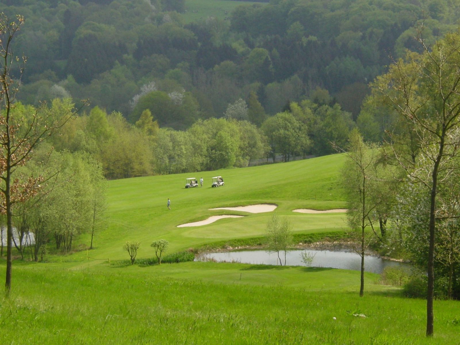 Omgeving