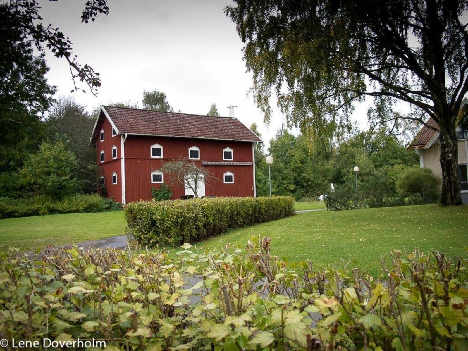Omgeving
