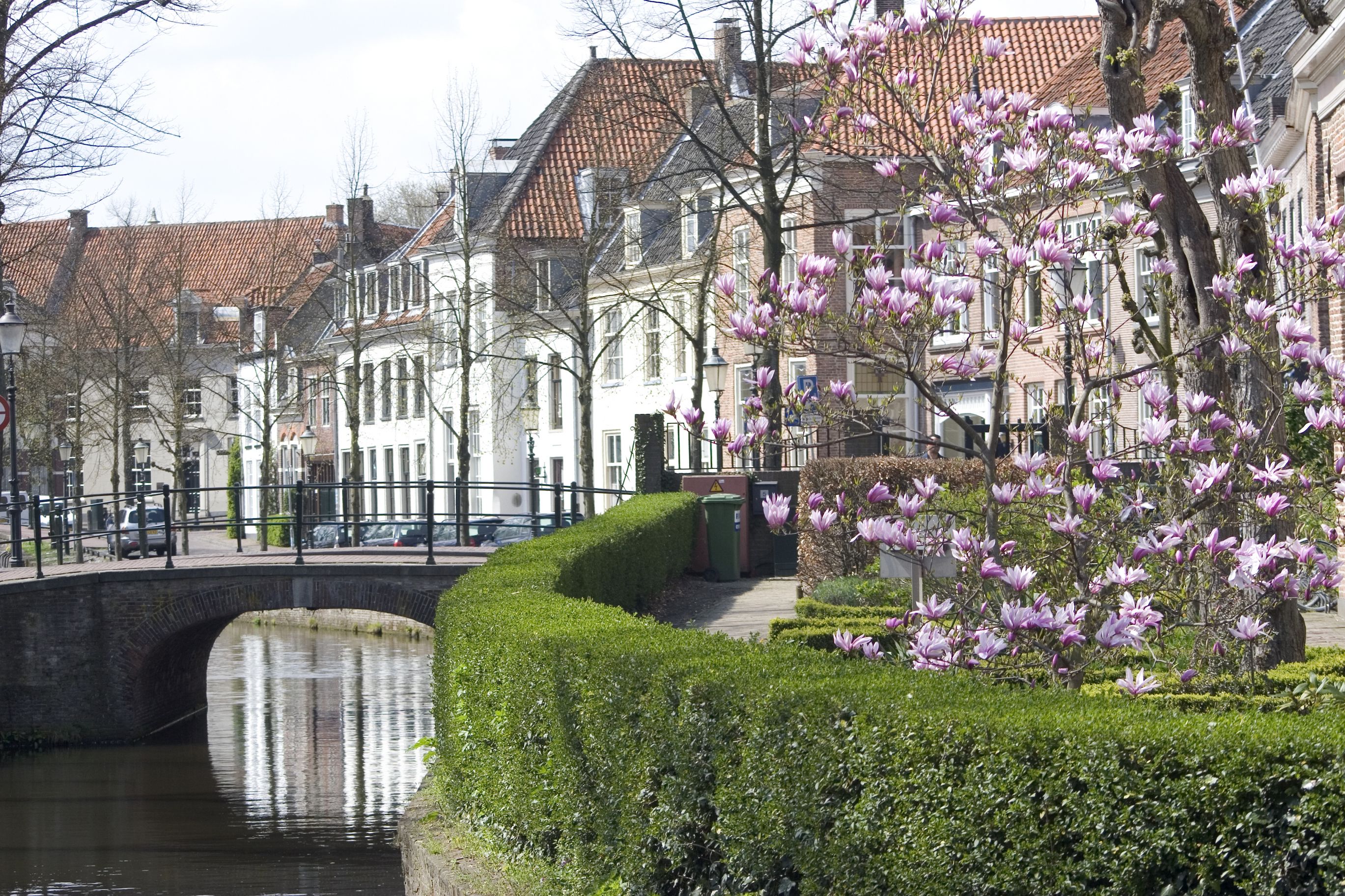 Omgeving