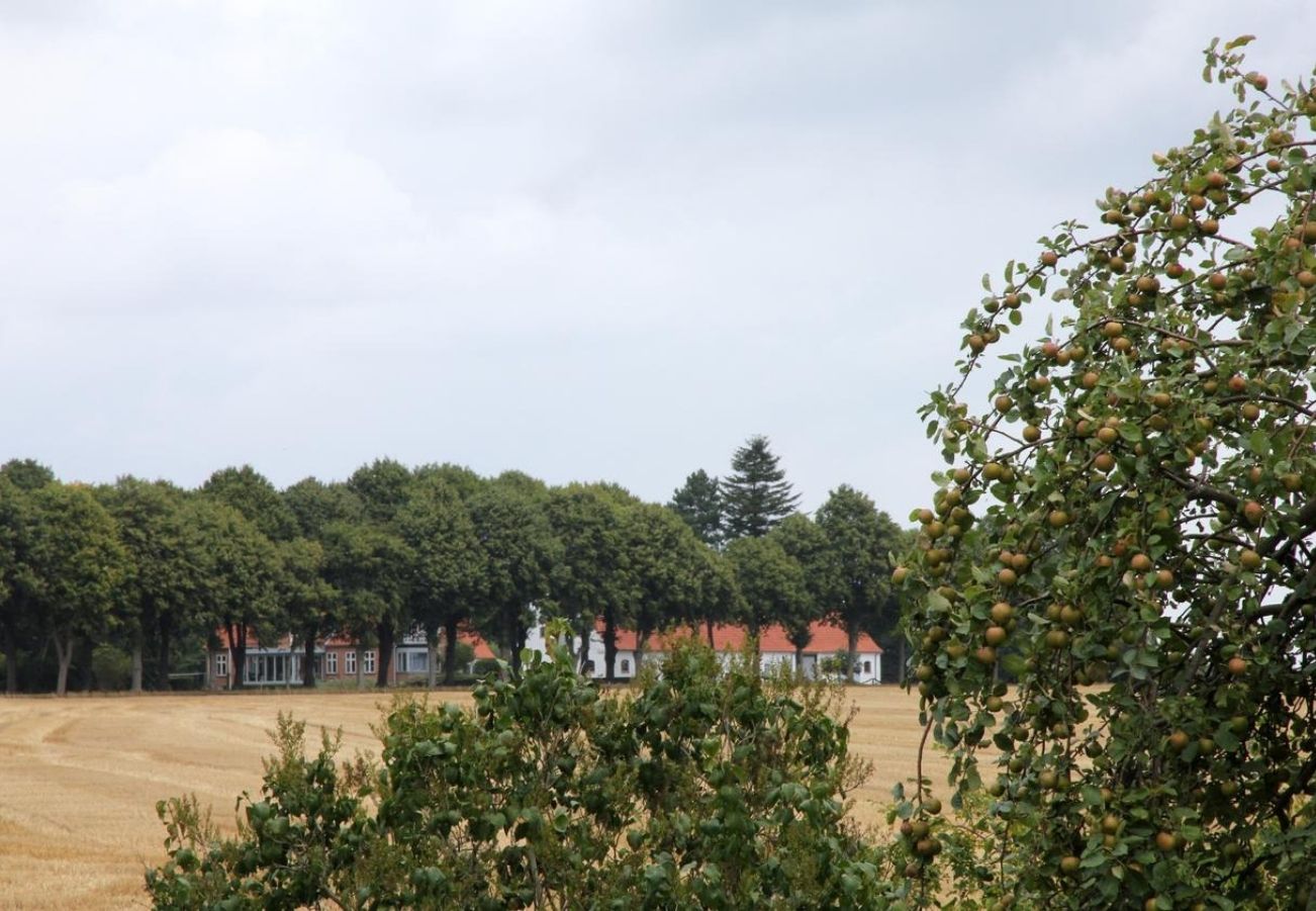 Omgeving