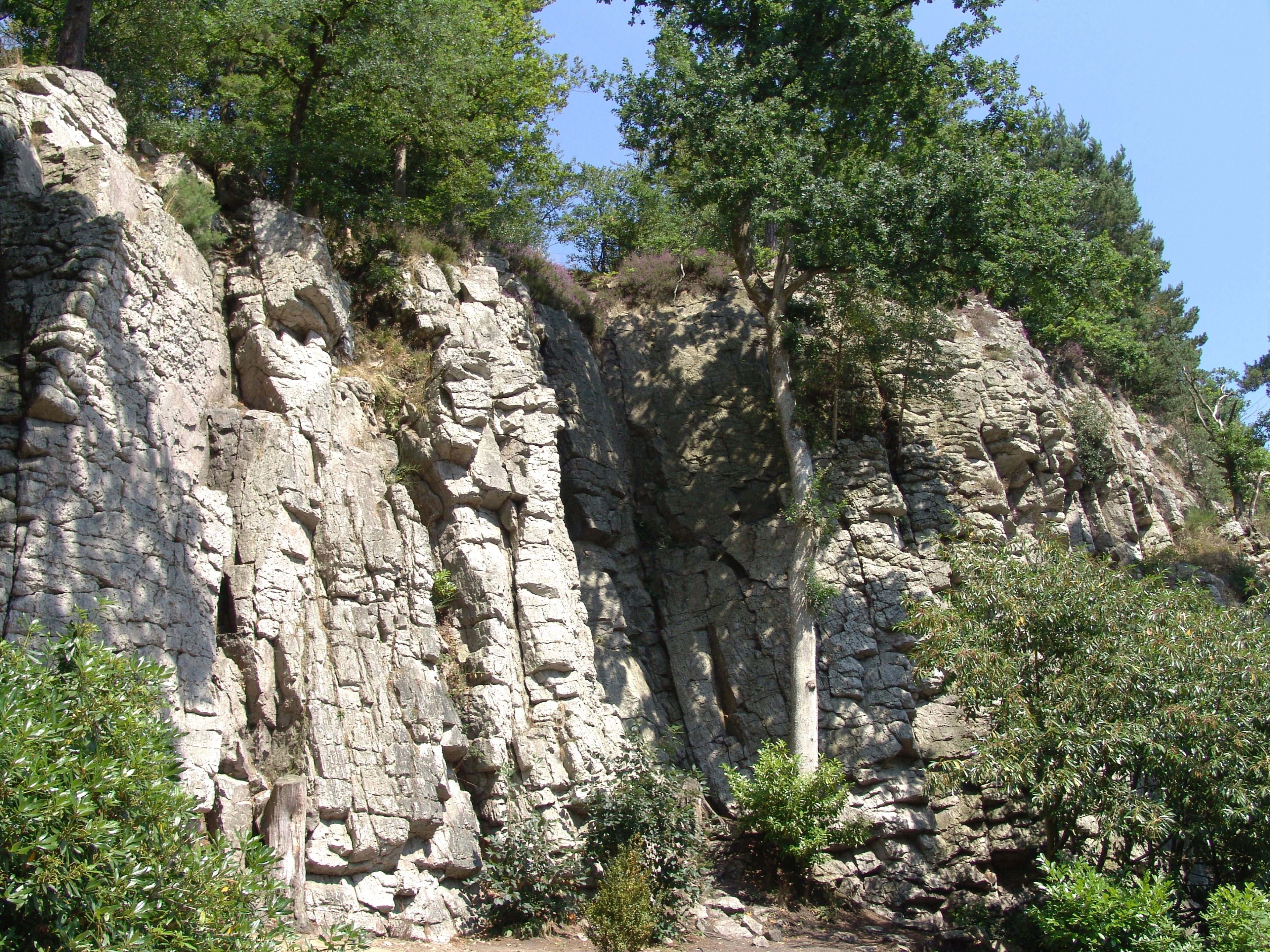 Omgeving
