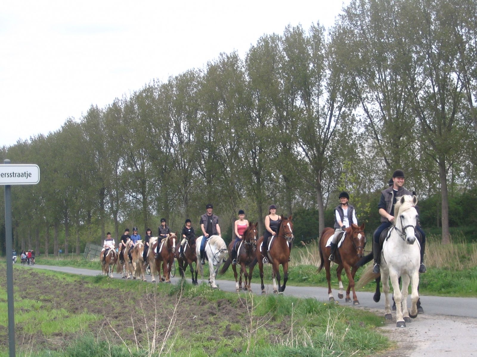 Omgeving