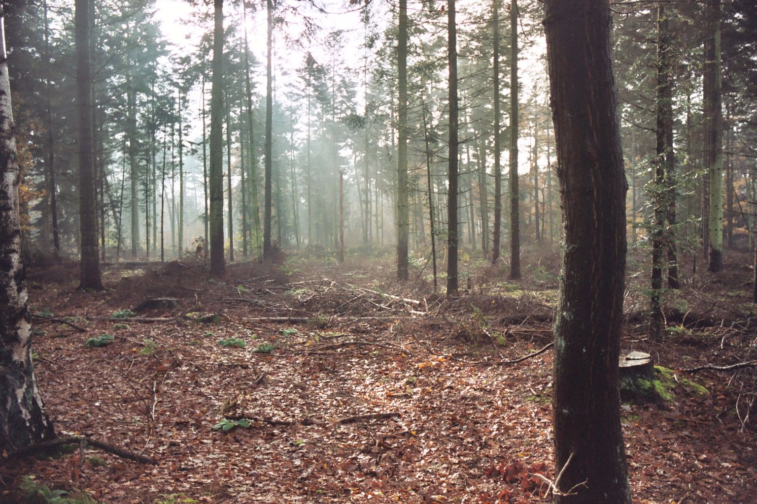 Omgeving