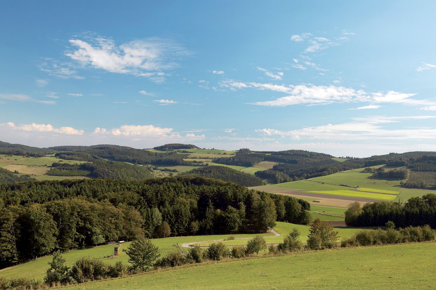 Omgeving