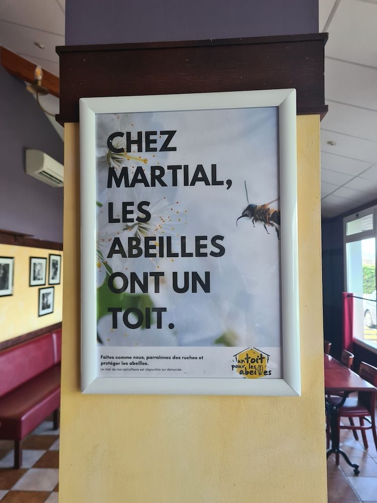 Algemeen
