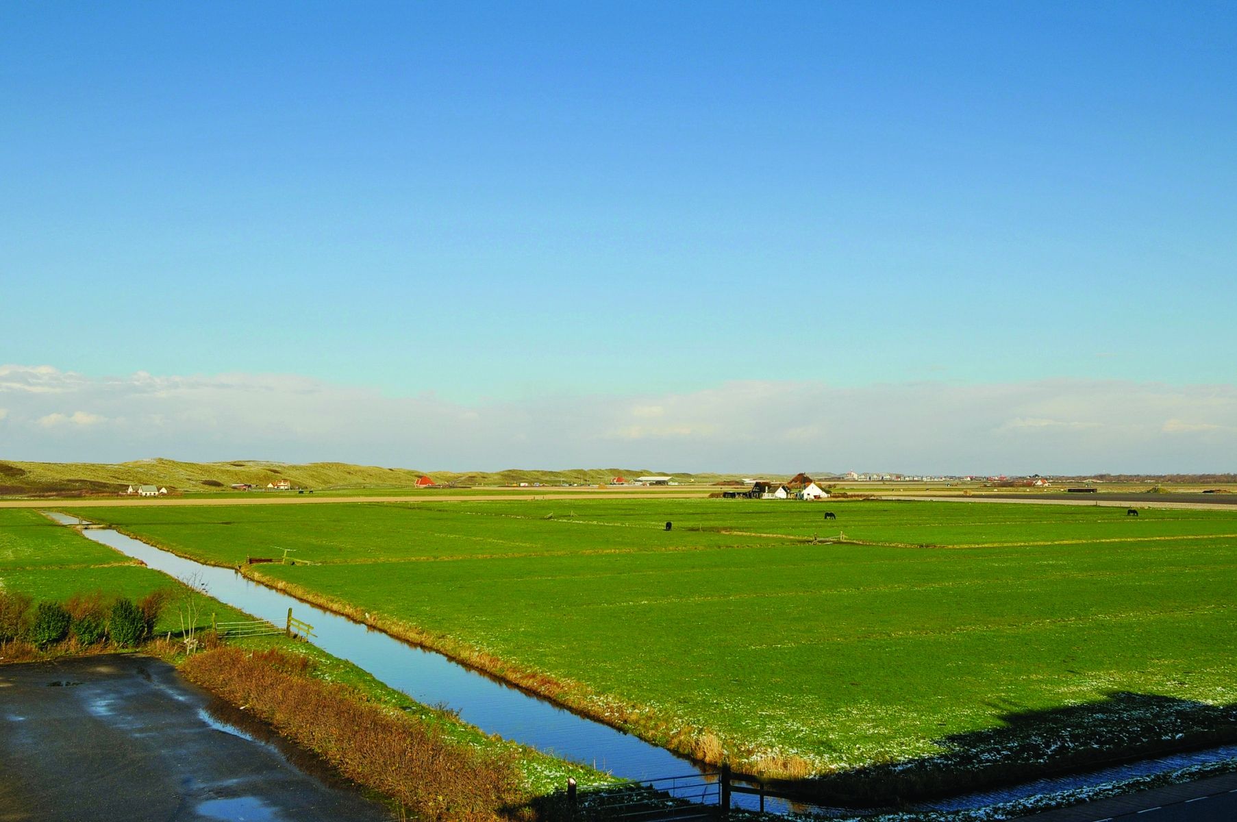 Omgeving