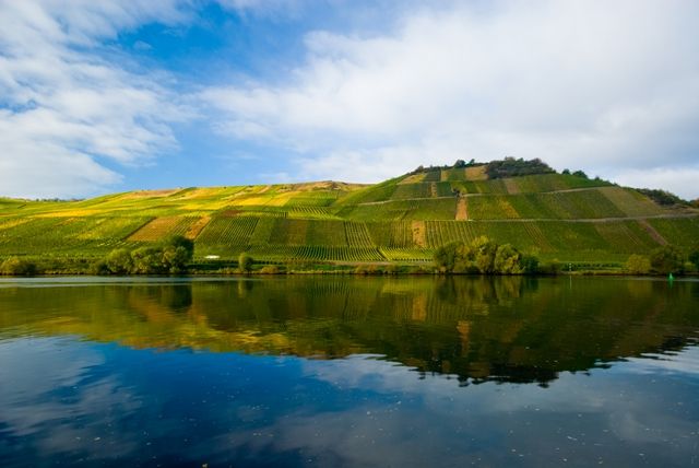 Omgeving
