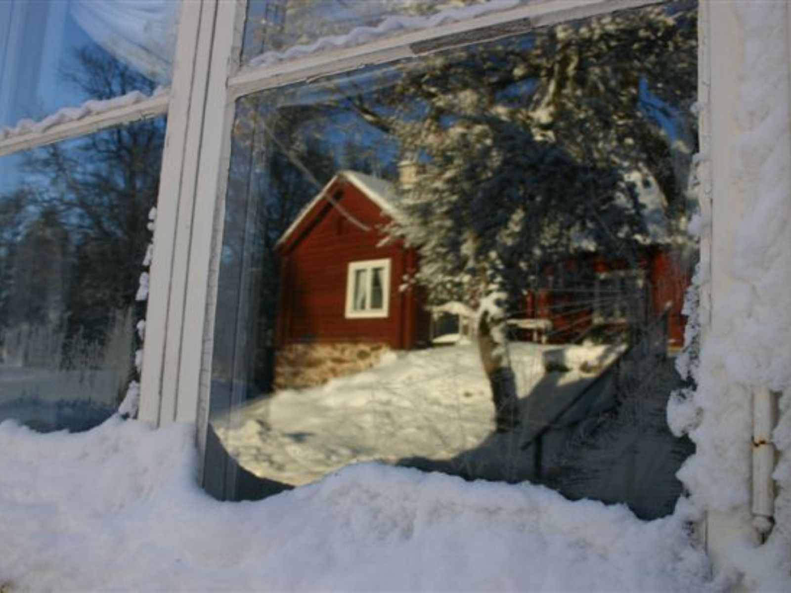 Omgeving