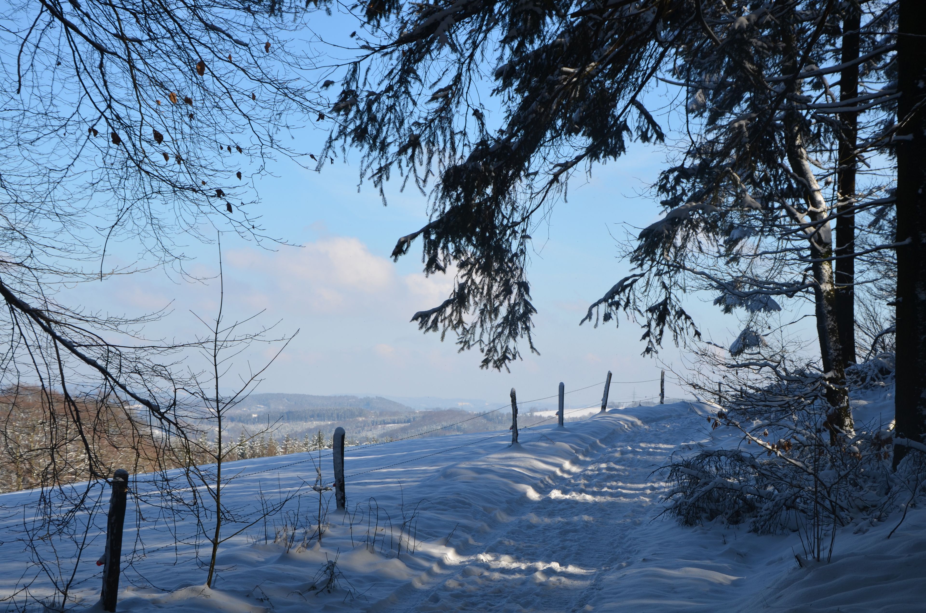 Omgeving