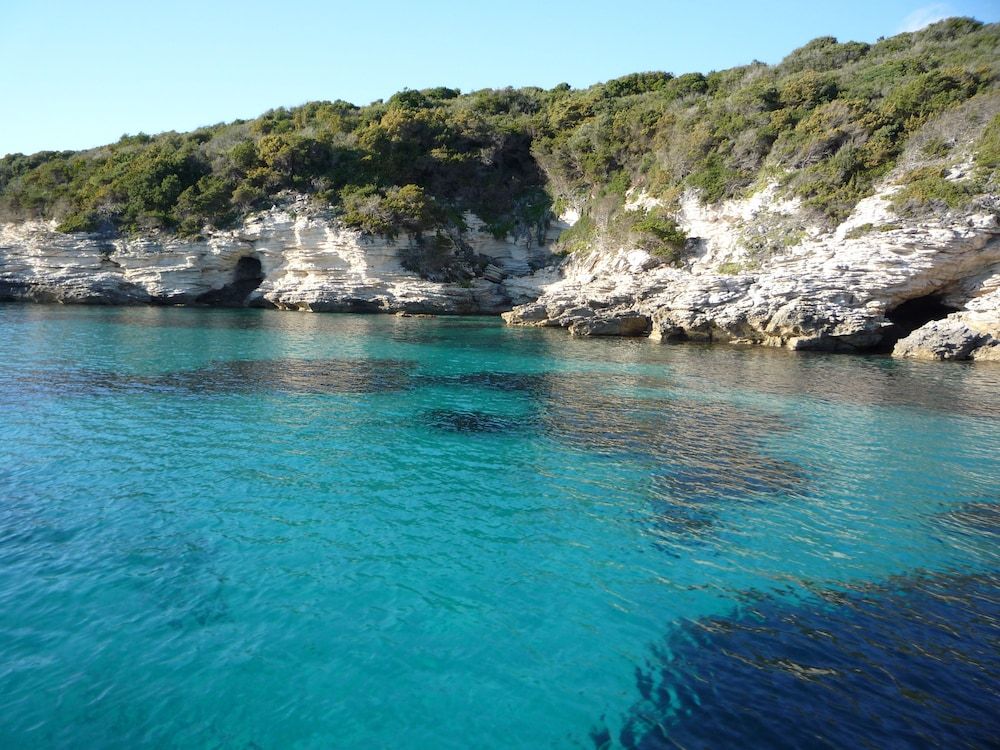 Algemeen