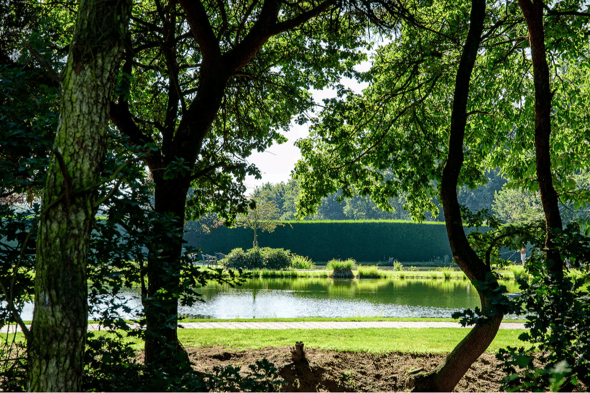 Omgeving
