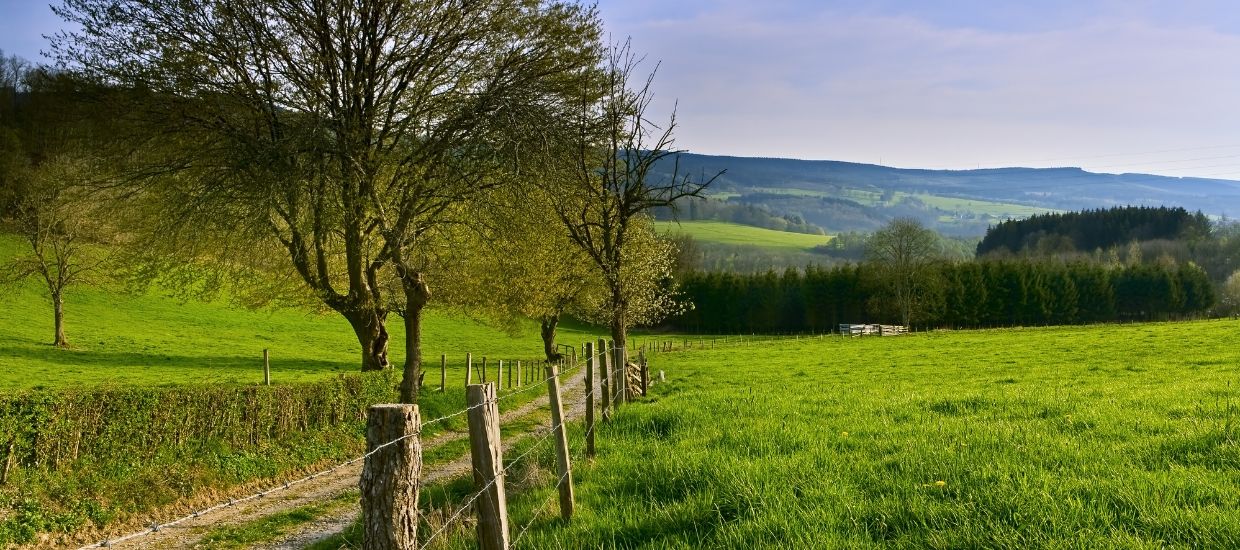 Top 5 activiteiten in de Belgische Ardennen