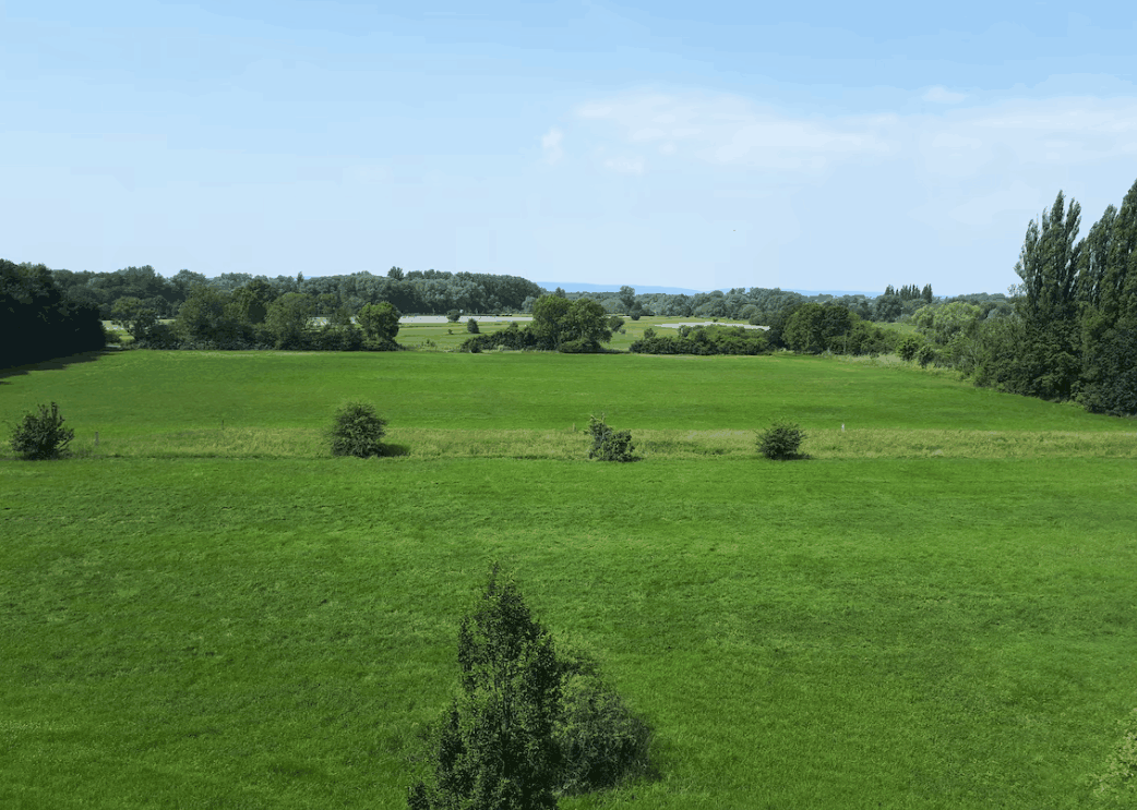 Omgeving
