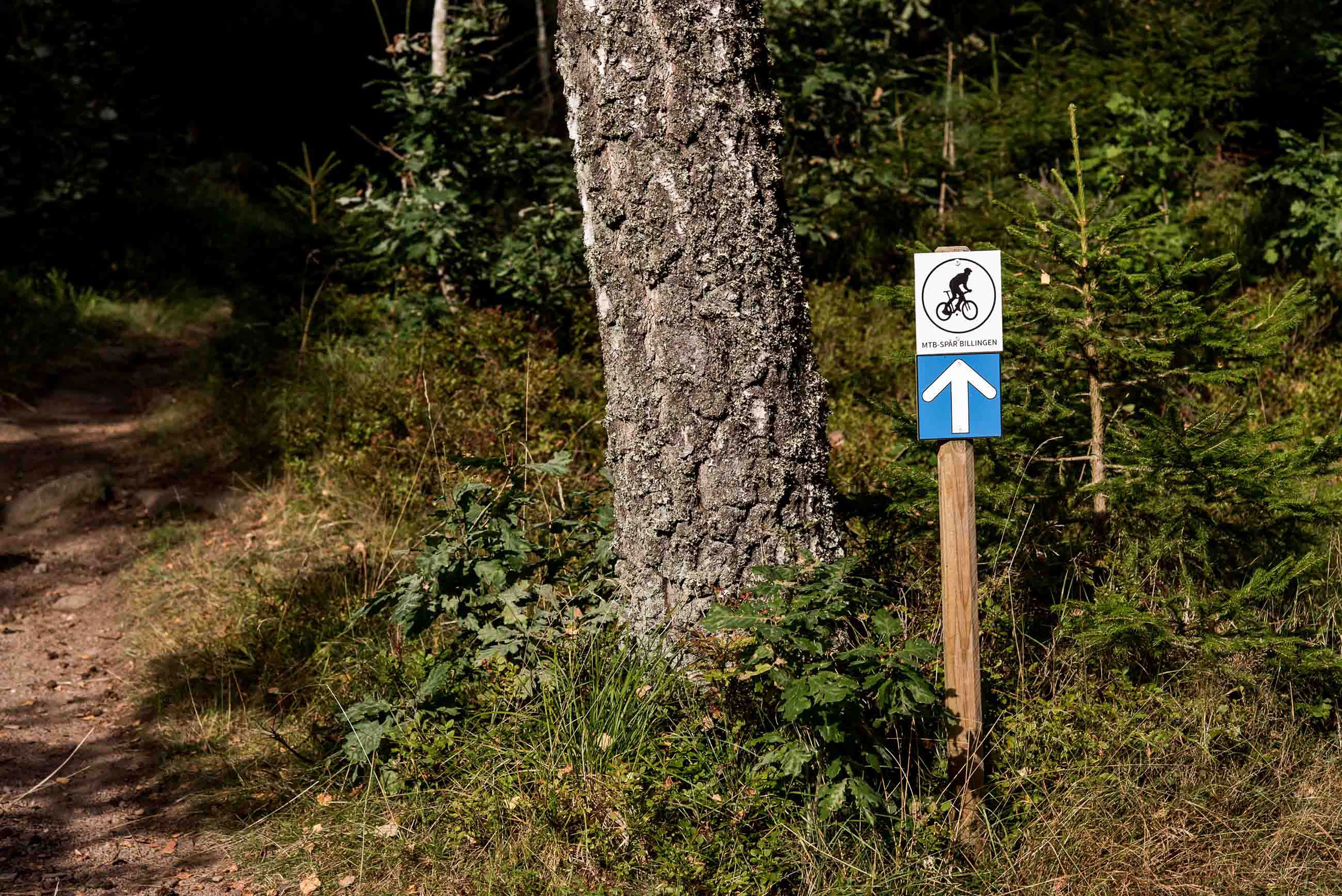 Omgeving