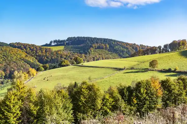 Hotel fünf10 - Nazomer Sale - SURROUNDING
