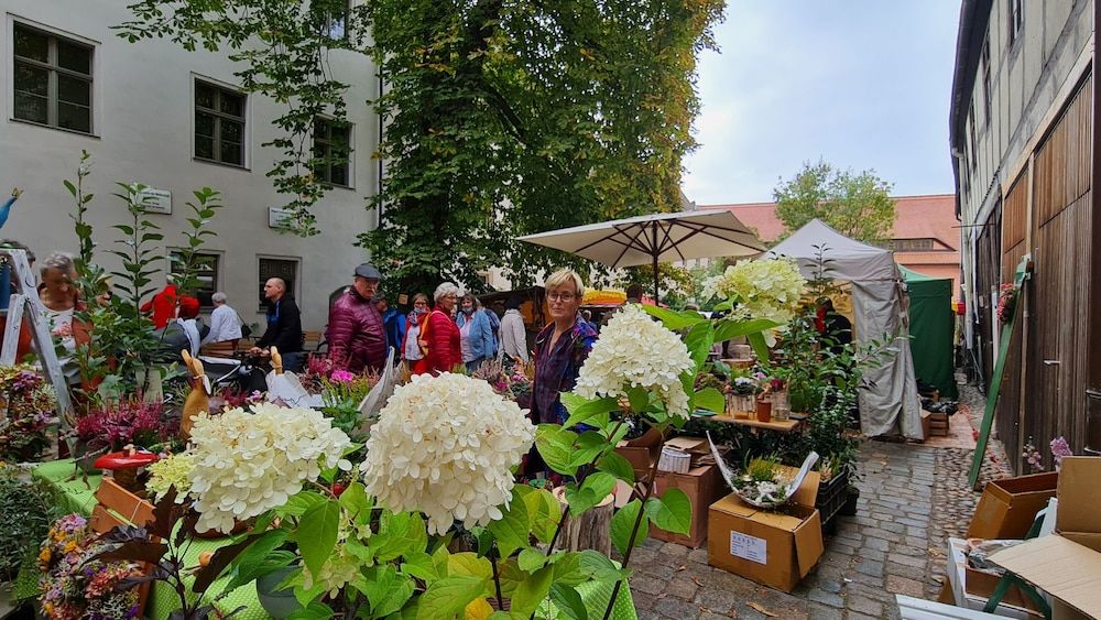 Algemeen